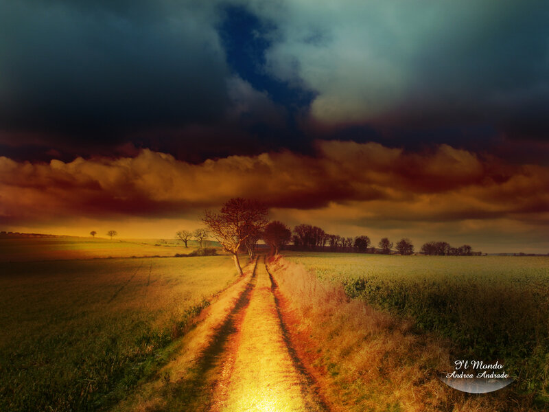 Dirt Path in Field — Orange, Dramatic, Sunset, Photograph, Trees, Clouds