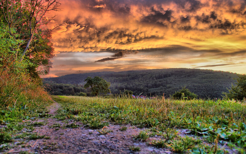 Dirt Path in Field — Orange, Dramatic, Sunset, Photograph, Trees, Hills