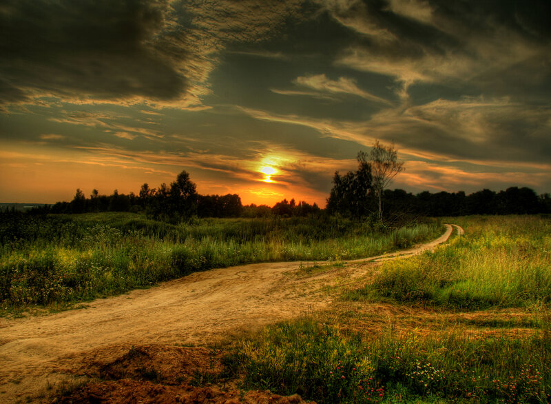 Dirt Path in Field — Orange