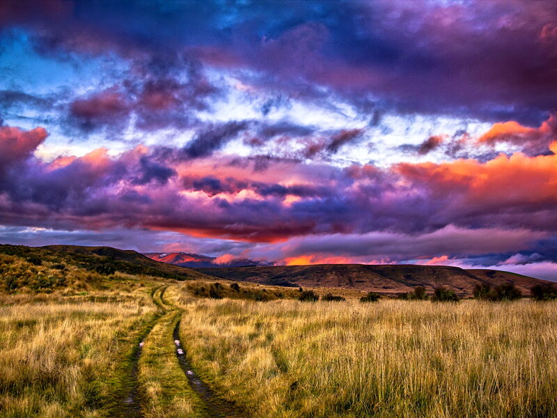 Dirt Path in Field — Purple, Dramatic