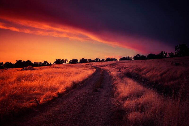 Dirt Path in Field — Red
