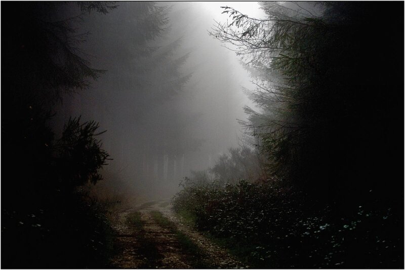 Dirt Path in Fog — Black