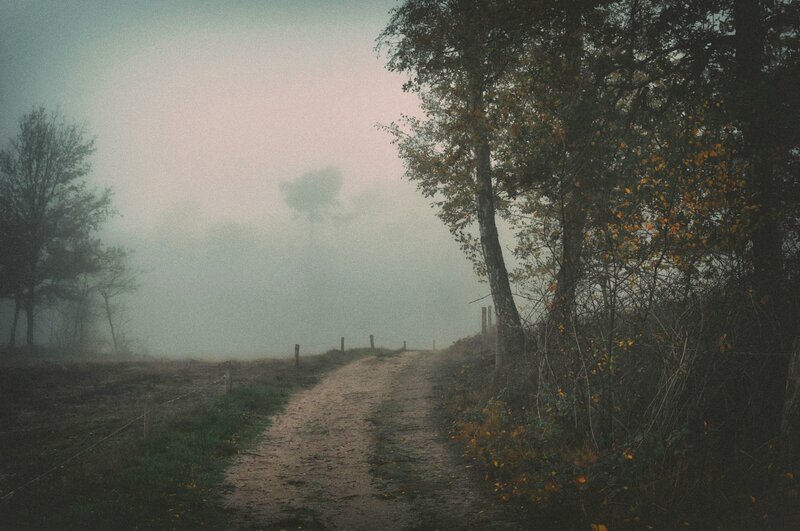 Dirt Path in Fog — Gray, Misty