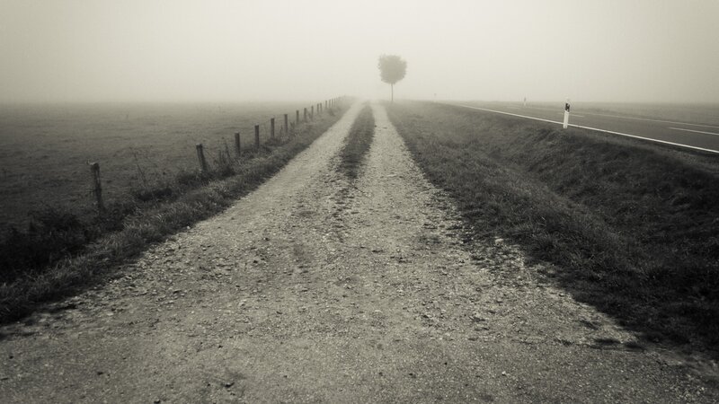 Dirt Path in Fog — Gray