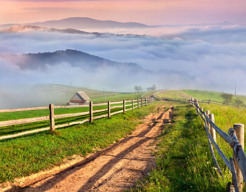 Dirt Path in Fog — Green, Serene, Morning