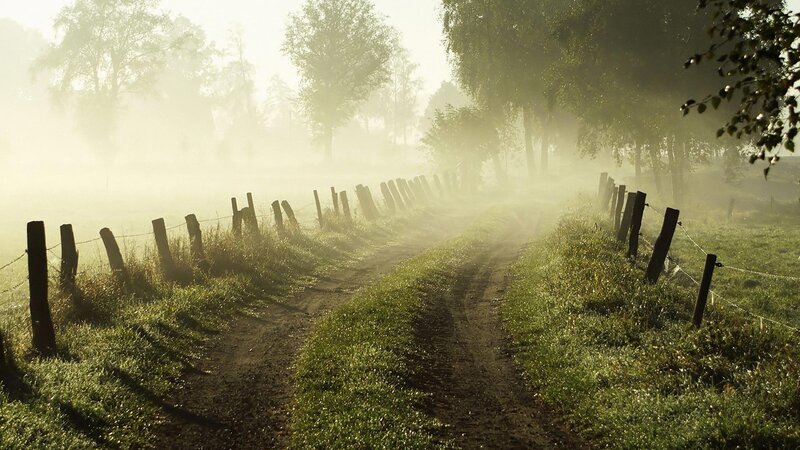 Dirt Path in Fog — Green