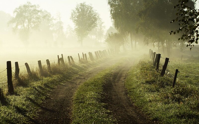 Dirt Path in Fog