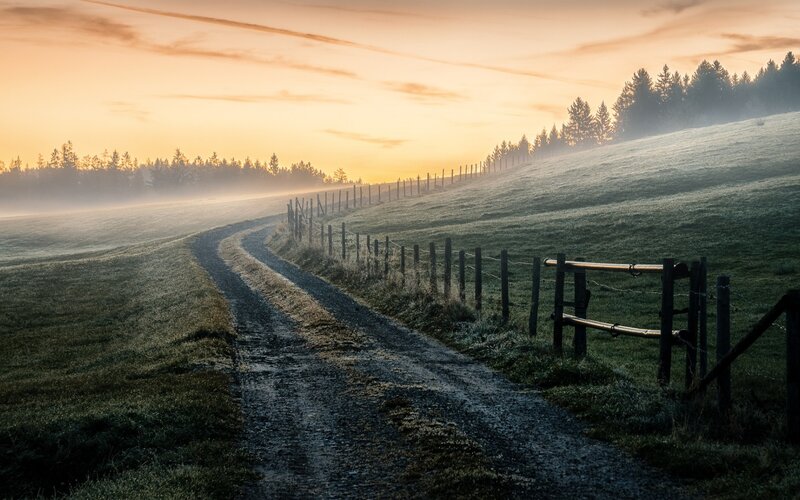 Dirt Path in Foggy Field — Green, Serene