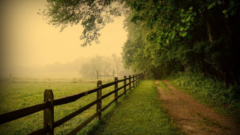 Dirt Path in Foggy Field
