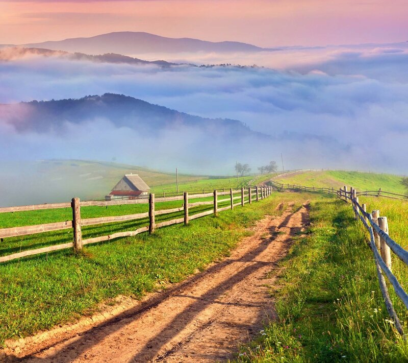 Dirt Path in Foggy Valley — Green