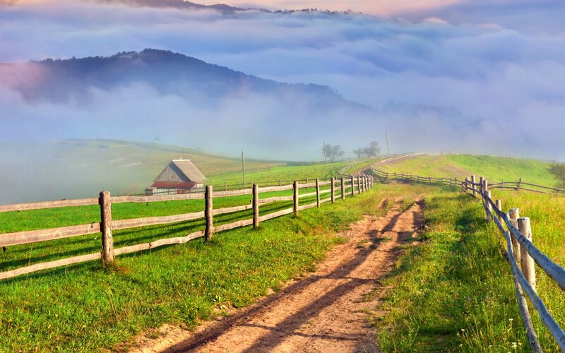 Dirt Path in Foggy Valley