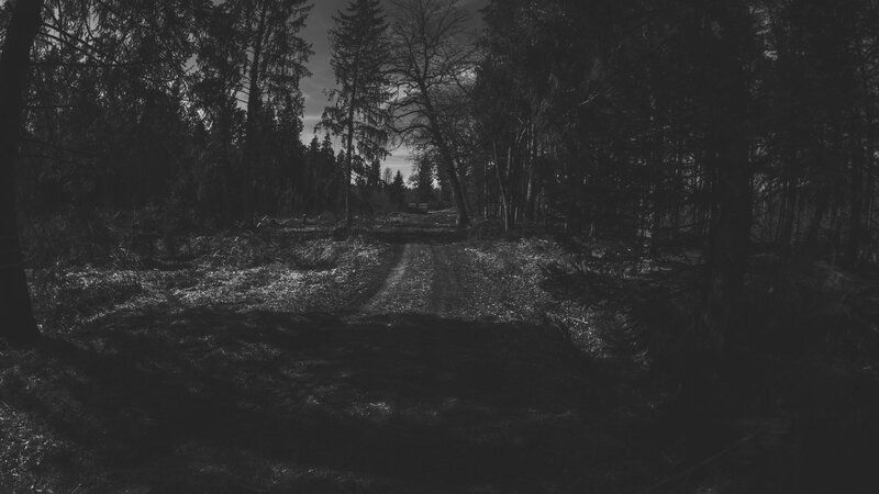 Dirt Path in Forest — Black, Dark, Night
