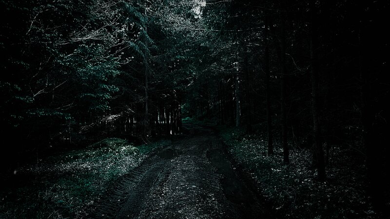 Dirt Path in Forest — Black, Dark