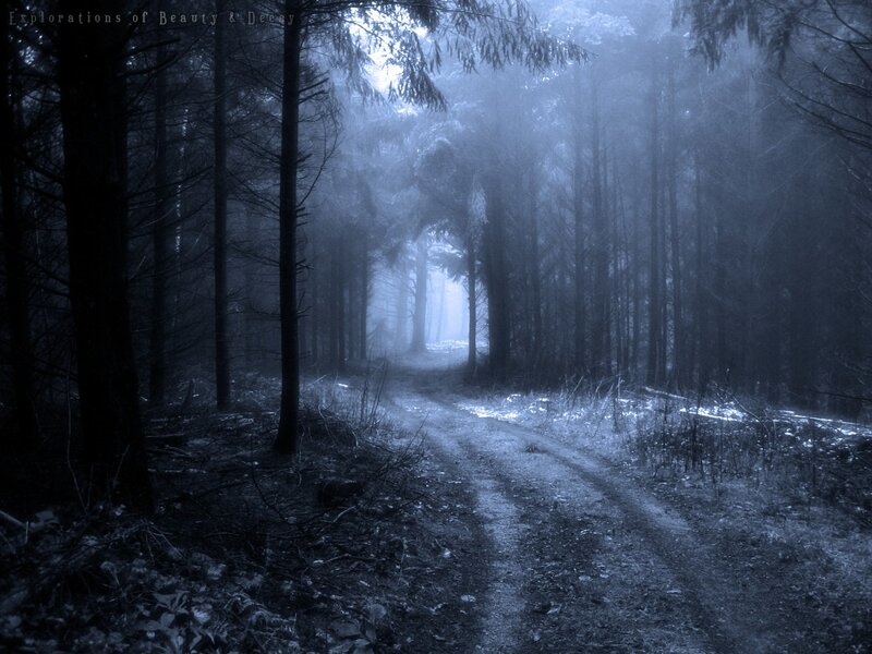 Dirt Path in Forest — Blue, Mysterious, Night