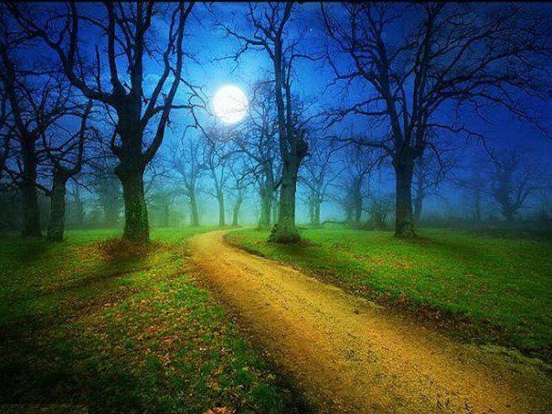 Dirt Path in Forest — Blue