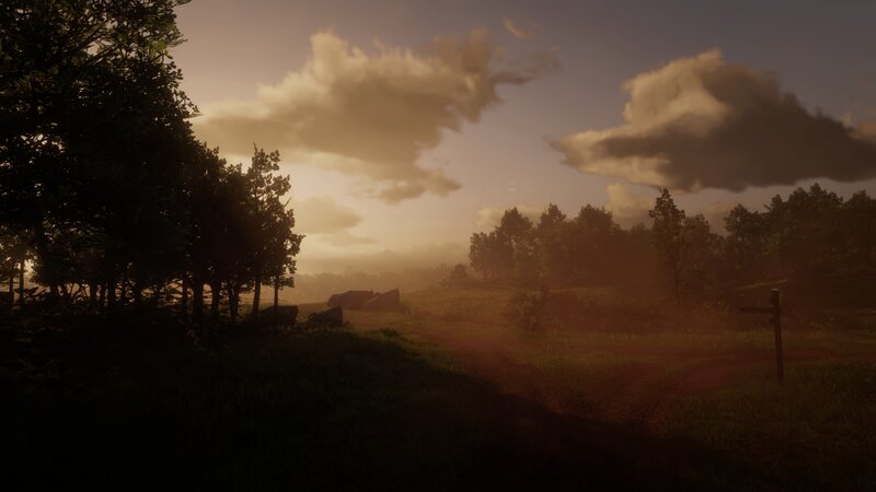 Dirt Path in Forest — Brown, Serene, Sunset, 3d Render