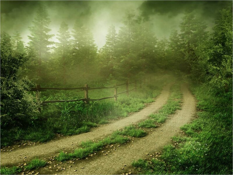 Dirt Path in Forest — Green, Mysterious, Morning