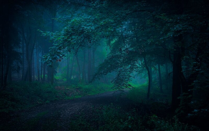 Dirt Path in Forest — Green, Mysterious, Night