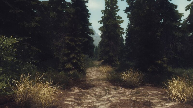 Dirt Path in Forest — Green, Serene, Afternoon, 3d Render