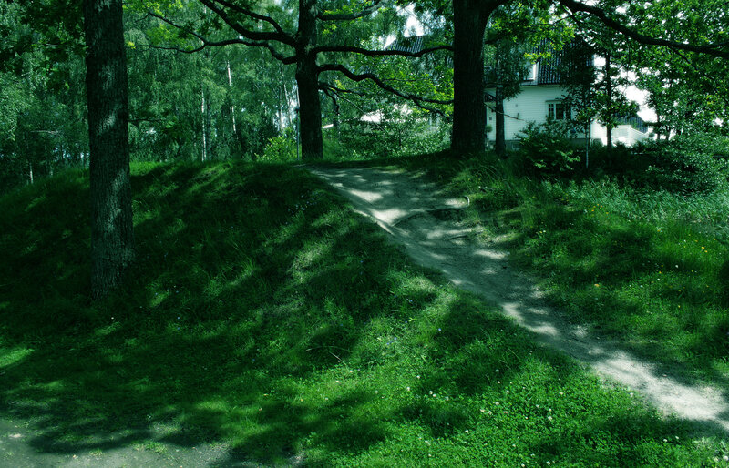 Dirt Path in Forest — Green, Serene, Afternoon, Photograph, Trees, House
