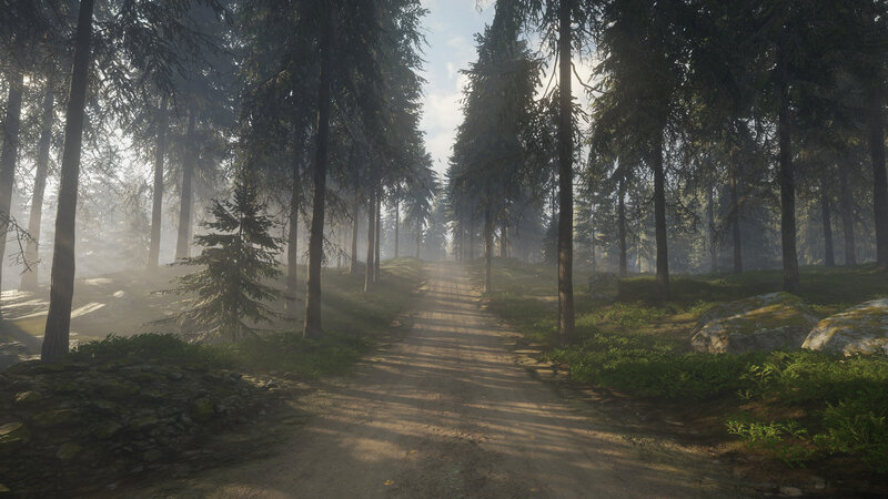 Dirt Path in Forest — Green, Serene, Morning, 3d Render