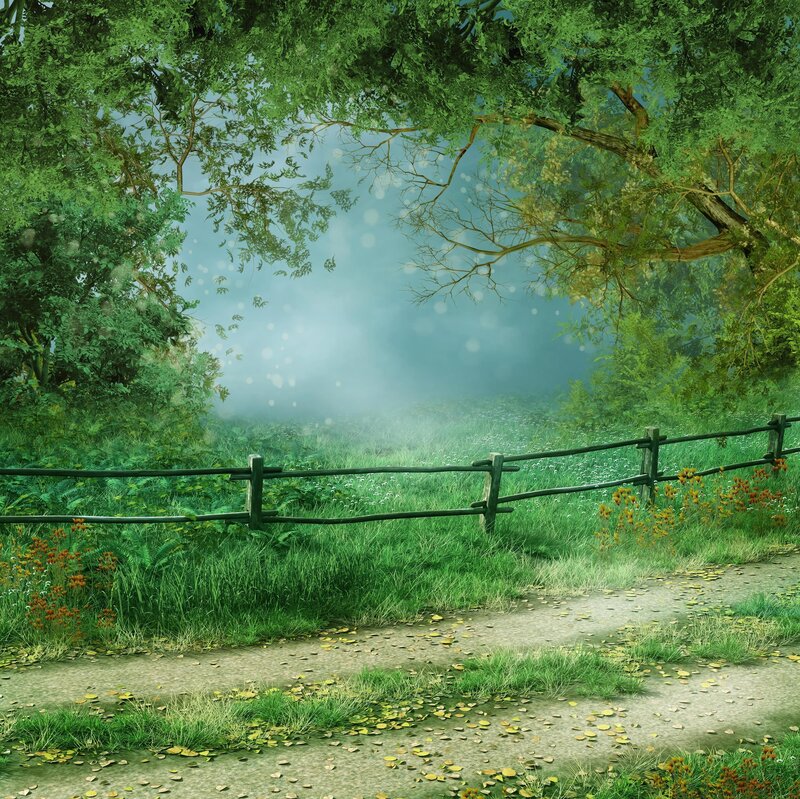 Dirt Path in Forest — Green, Serene, Morning, Digital Art