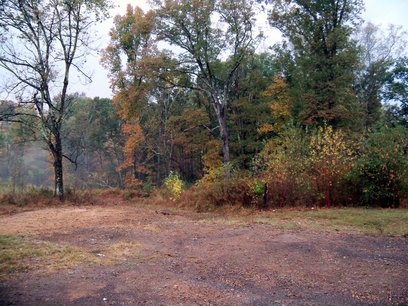 Dirt Path in Forest