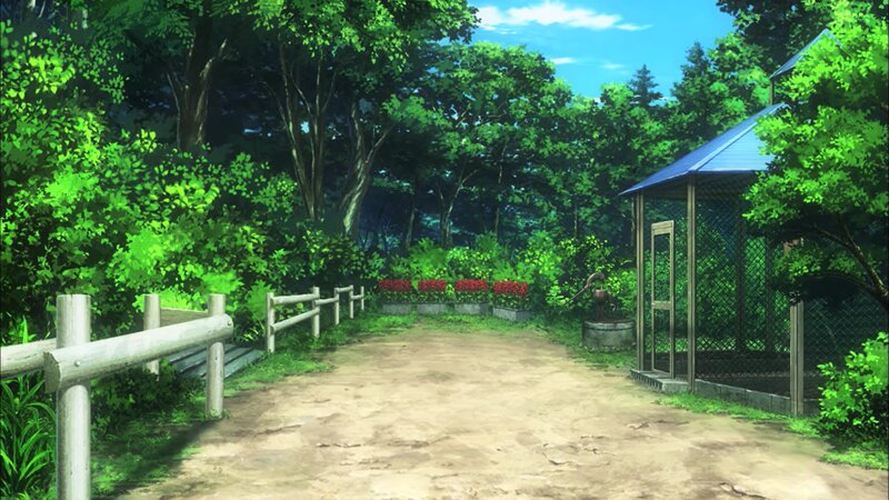 Dirt Path in Garden — Green, Serene, Afternoon