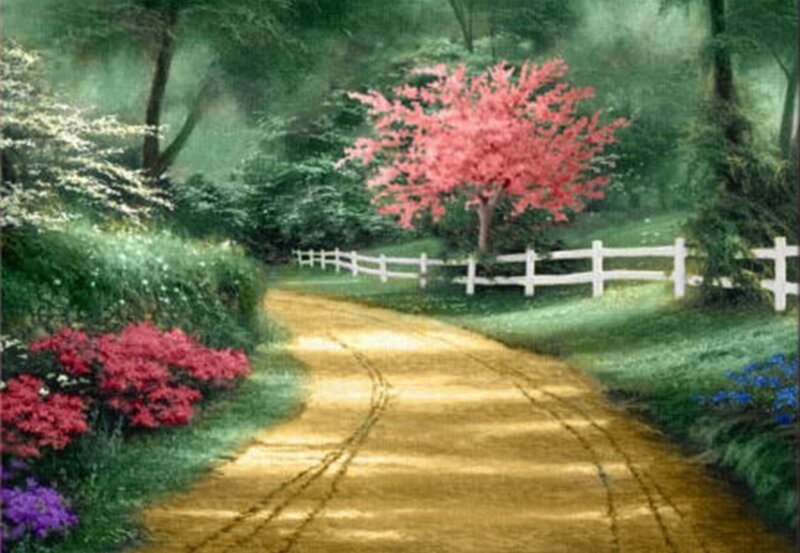 Dirt Path in Garden — Green, Serene