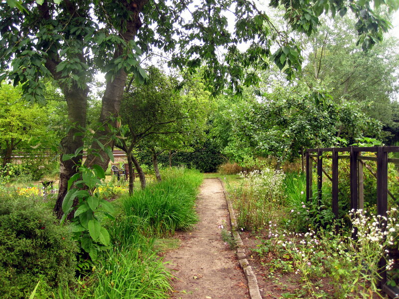Dirt Path in Garden — Green
