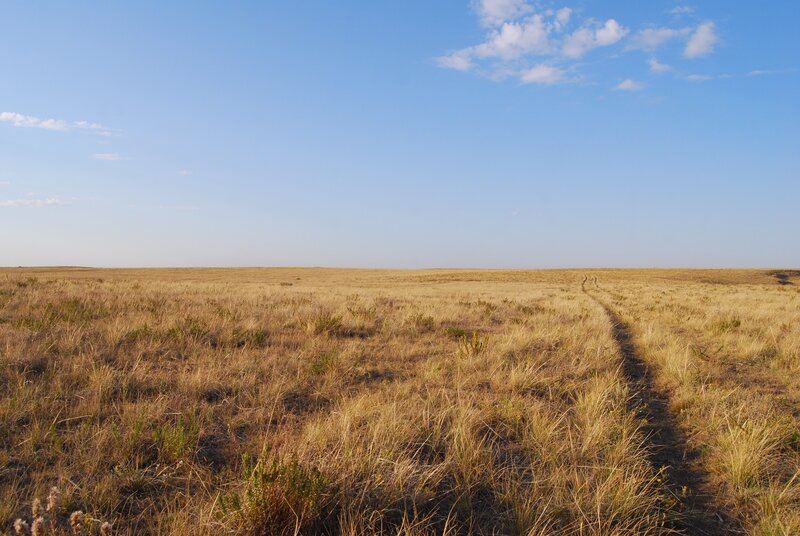 Dirt Path in Grassland — Blue