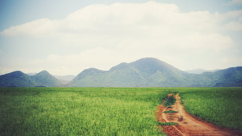 Dirt Path in Grassland