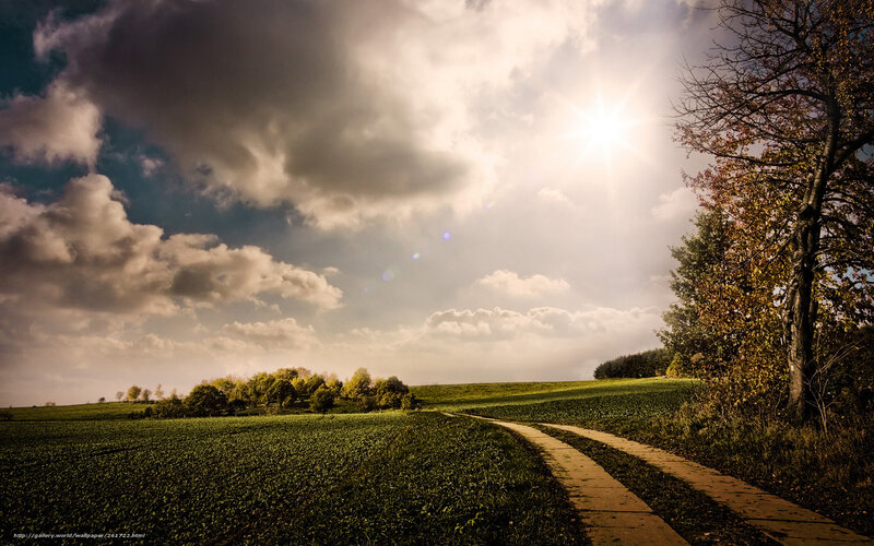 Dirt Path in Green Field — Dramatic
