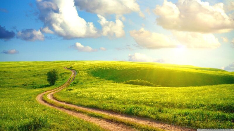 Dirt Path in Green Field — Serene, Afternoon