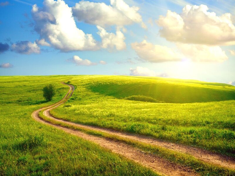 Dirt Path in Green Field — Serene