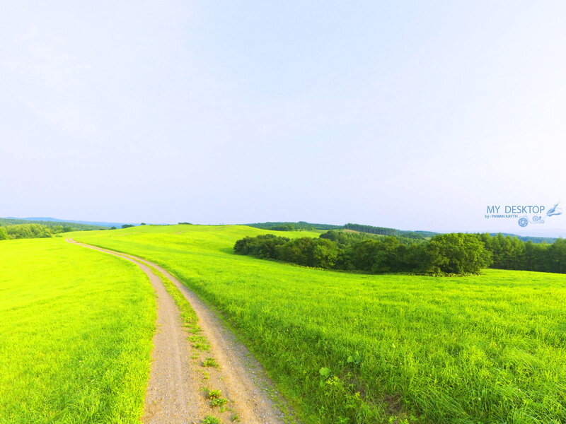 Dirt Path in Green Field