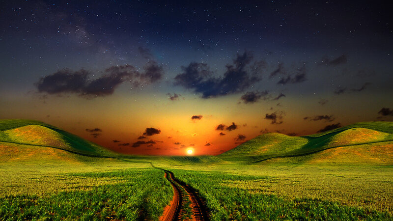 Dirt Path in Green Fields