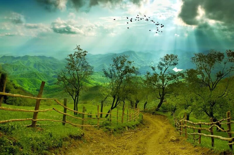 Dirt Path in Green Valley — Serene