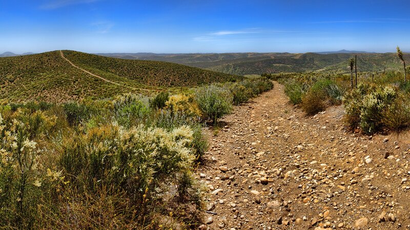 Dirt Path in Hills — Blue