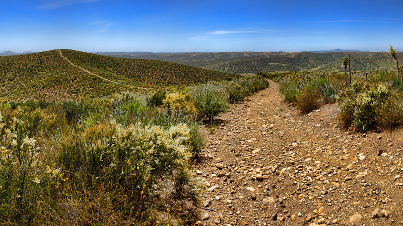Dirt Path in Hilly Landscape