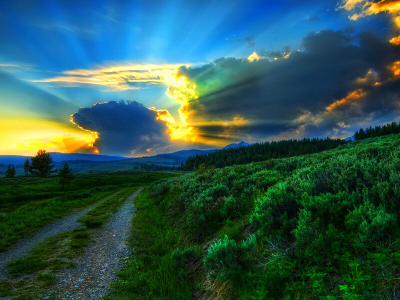 Dirt Path in Meadow — Blue, Dramatic
