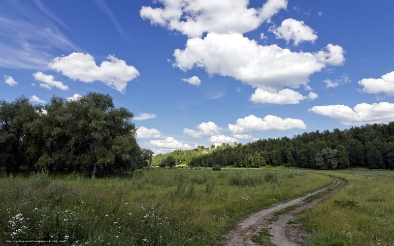 Dirt Path in Meadow — Blue, Serene, Afternoon