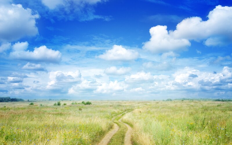 Dirt Path in Meadow — Blue, Serene