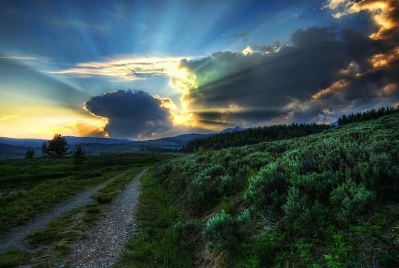 Dirt Path in Meadow — Blue