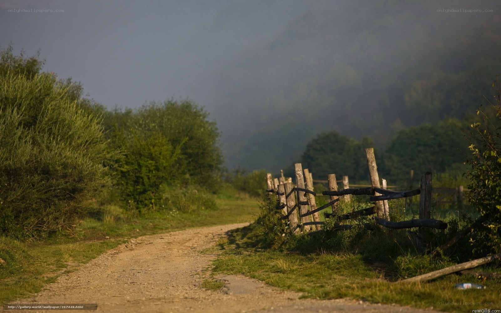 Dirt path in misty countryside