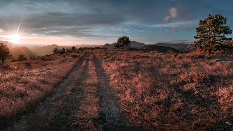 Dirt Path in Mountain Field