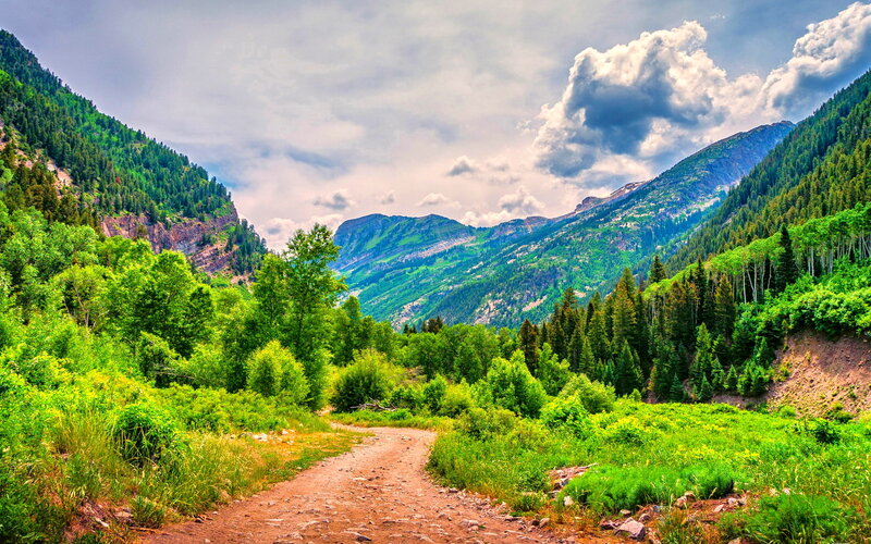 Dirt Path in Mountain Valley — Green, Serene, Afternoon