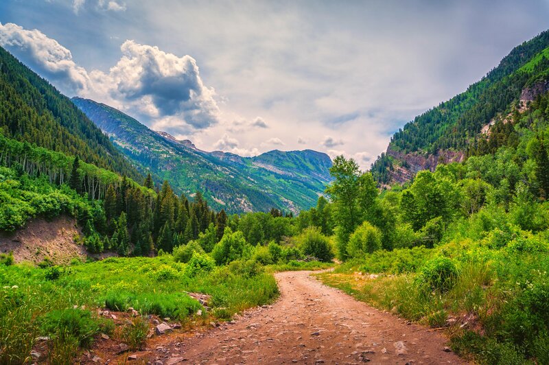 Dirt Path in Mountain Valley — Green, Serene