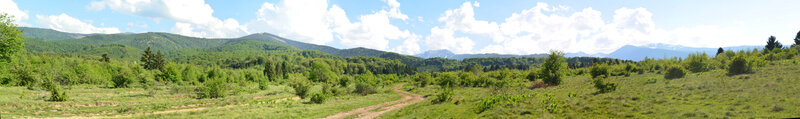 Dirt Path in Mountain Valley — Green