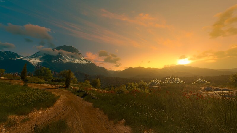 Dirt Path in Mountain Valley — Orange